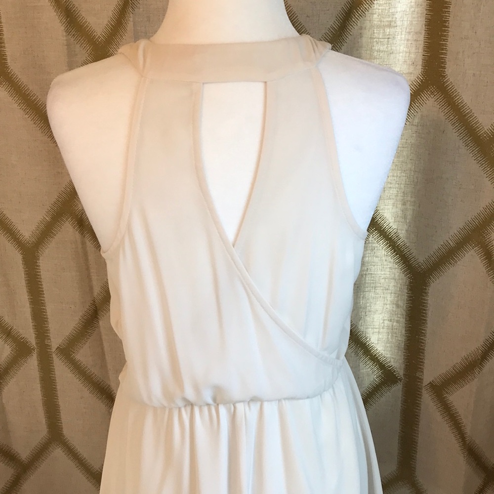 Lush Dress - Picture 3 of 5